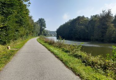 Tocht Stappen Thuin - Hourpe et Sambre - Photo