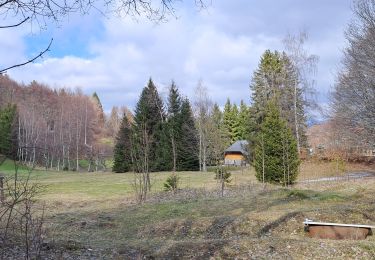 Tour Wandern Les Déserts - Nivolet-04-04-23 - Photo