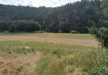 Tour Wandern Bouillon - Dohan 12km 2020  - Photo