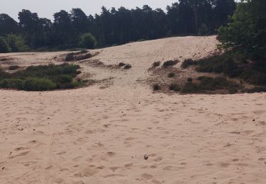 Trail Walking Fontainebleau - Croix de Souvray  - Photo