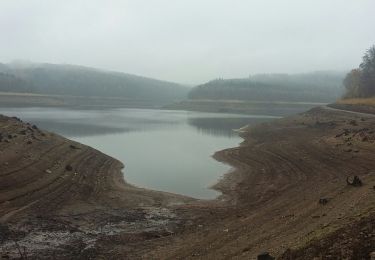 Randonnée Marche Jalhay - Tour  du lac de la Gileppe, à pied sec dans le lac - Photo