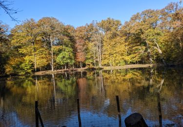 Tour Mountainbike Saint-Germain-en-Laye - 2021102 Mesnil - Photo