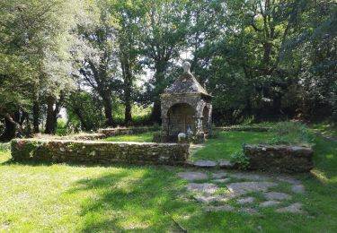 Trail Walking Theix-Noyalo - GRP_Lanvaux_AK_11_Theix_St-Nolf_20210615 - Photo
