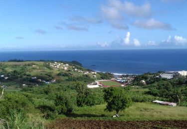Trail On foot Le Lorrain - Boucle Morne Capot via Savane Cély - Photo