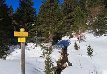 Randonnée Marche Pont de Montvert - Sud Mont Lozère - Pic Cassini  - Photo