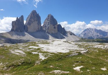 Tour Wandern Auronzo di Cadore - Tour des Drei Zinnen - Tre Cime di Lavaredo - Photo