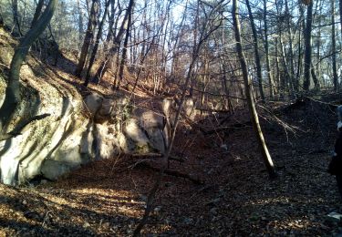 Tour Wandern Fontainebleau - Ne dépassons pas les bornes ! - Photo