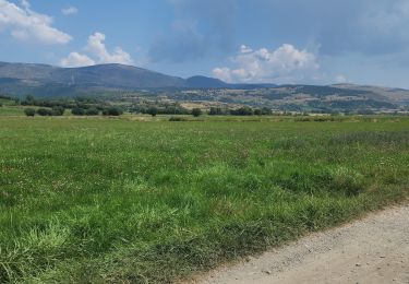Trail Mountain bike Err - Err, sentier de Nahura - Photo
