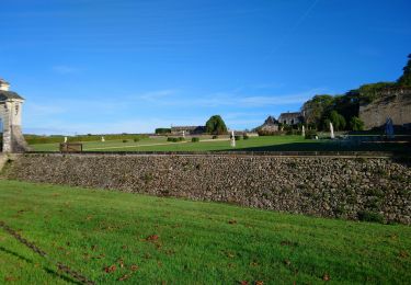 Tour Wandern Reugny - Reugny - variante du Grand chemin - 27.6km 315m 6h20 (30mn) - 2022 10 22 - Photo