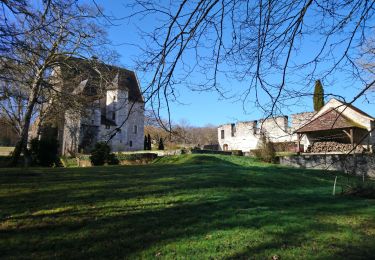 Tour Wandern Cheillé - Cheillé - GR3 Abbaye de Turpenay Château de la Cour - 18.9km 280m 4h05 - 2022 02 05 - Photo