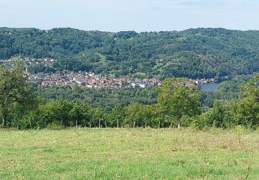 Trail Walking Beaulieu-sur-Dordogne - Beaulieu sur Dordogne - Photo