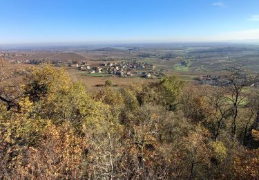 Tour Wandern Jully-lès-Buxy - jully, la roche - Photo