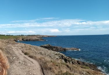 Trail Walking Moëlan-sur-Mer - anse porte  - Photo