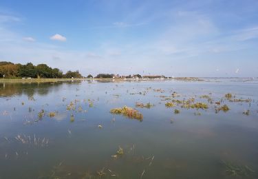 Percorso Marcia Saint-Valery-sur-Somme - Saint-Valery-sur-Somme-Marche-8-oct-2021--10-20 (merged) - Photo