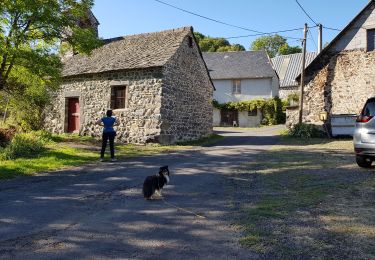 Trail Walking Valbeleix - AUVERGNE  MARCENAT (63) - Photo
