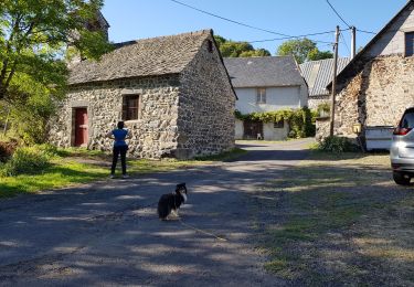 Excursión Senderismo Valbeleix - AUVERGNE  MARCENAT (63) - Photo