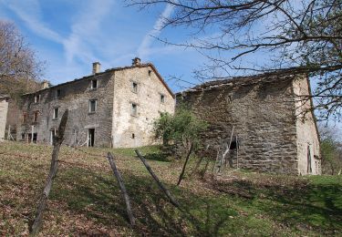 Tour Zu Fuß Bagno di Romagna - IT-B7 - Photo