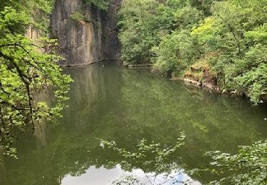 Excursión Paseo en burro Philippeville - La grande balade du marbre - Photo