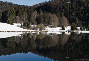 Tour Wandern Oyonnax - lac Genin et retour - Photo