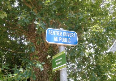 Randonnée Marche Ittre - Ittre-Braine Le Château-Ittre Vs. Longue - Photo