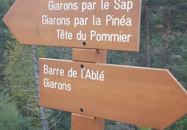 Tour Wandern Beuil - De là Pinea au quartier le Pommier - Photo