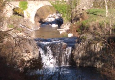 Trail Walking Burzet - Burzet (Myrtille) - Photo
