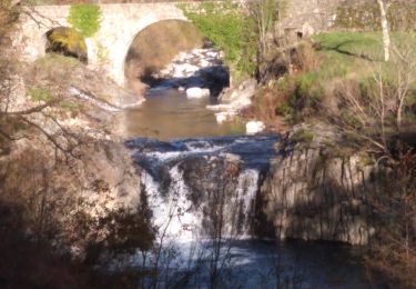 Tour Wandern Burzet - Burzet (Myrtille) - Photo