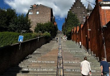 Randonnée Marche Liège - Liège et son centre historique - Photo