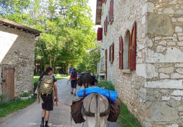 Randonnée Marche Vassieux-en-Vercors - Vassieux en Vercors- La Chapelle en Vercors- Rando Âne (2 et 3 ème jour) -  - Photo