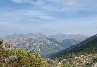 Trail Walking Tasso - Tasso - Col Vizziluga - Photo