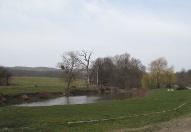 Percorso A piedi Tatabánya - K■ (Koldusszállás - Irtás-hegyi-nyereg - Tatabánya (Alsógalla)) - Photo