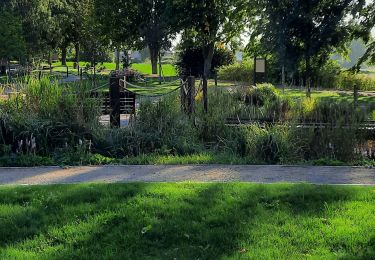 Tour Wandern Béthencourt - Bethencourt - Photo