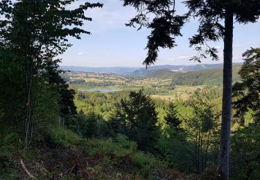 Tocht Mountainbike Charix - Retour lac Genin par lac de Viry - Photo