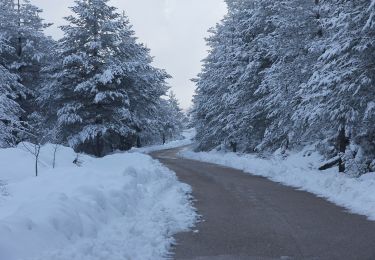 Percorso A piedi Tempio Pausania - Sentiero Italia - Tappa Z33 - Photo