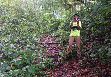 Tour Wandern Le Lorrain - Rando d'ouverture Morne Capot via Gens - Photo