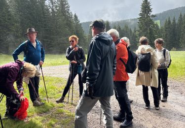 Trail Walking Feldberg - Neuglashütten -Feldberg - Photo