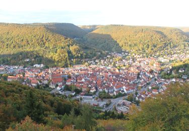 Trail On foot Gomadingen - Hohenurachsteig - Photo