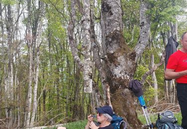 Trail Walking Labassère - G3 Labassère 2023 - Photo