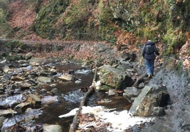 Trail Walking Malmedy - Les trois marets - Photo