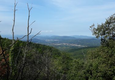 Tour Wandern Pignans - Pignan - ND des Anges. - Photo