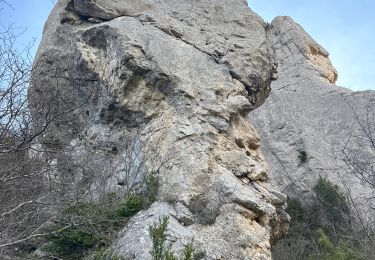 Trail sport Rimon-et-Savel - Ravel - Photo