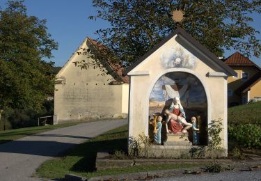 Randonnée A pied Lafnitz - Lafnitz Rundwanderweg L5 - Photo