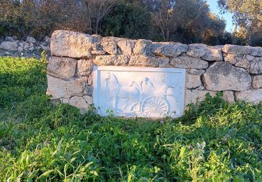 Trail Walking Leucate - leucate . franki plage . leucate - variante - Photo