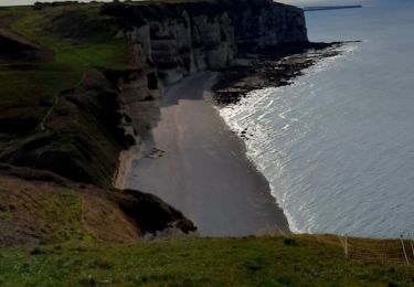 Tocht Stappen Le Tilleul - tilleul etretat p c - Photo