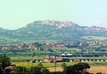 Tour Zu Fuß Montepulciano - Sentiero naturalistico nr. 3 - Photo