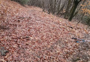 Excursión Marcha nórdica Ambazac - Chedeville hureaux trasforet - Photo