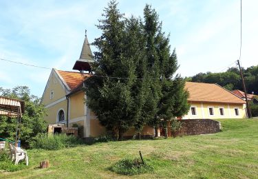 Randonnée A pied Eplény - KT (Eplény, Ámos-hegyi Pihenőerdő) - Photo