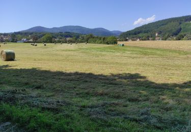 Tour Wandern Sentheim - Sentheim La Seigneurie - Photo