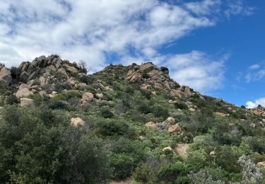 Percorso Marcia Ille-sur-Têt - Il le sur têt - puig pedros - Photo