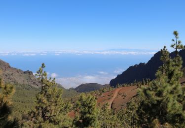 Tour Zu Fuß La Orotava - Camino de Candelaria de La Orotava - Photo